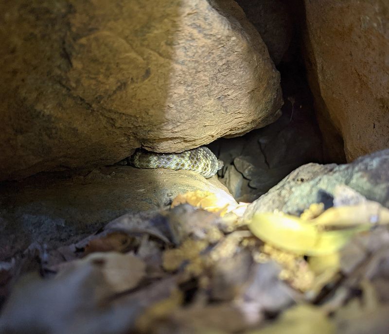 Rock Piles Offer Good Hiding Spots
