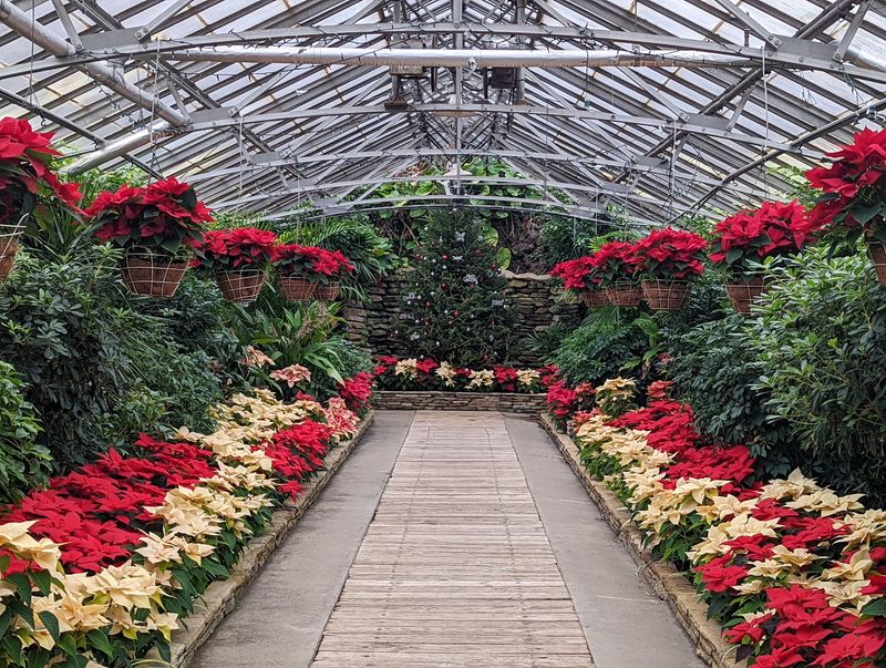 Rockefeller Park Greenhouse Stays Green Through Winter