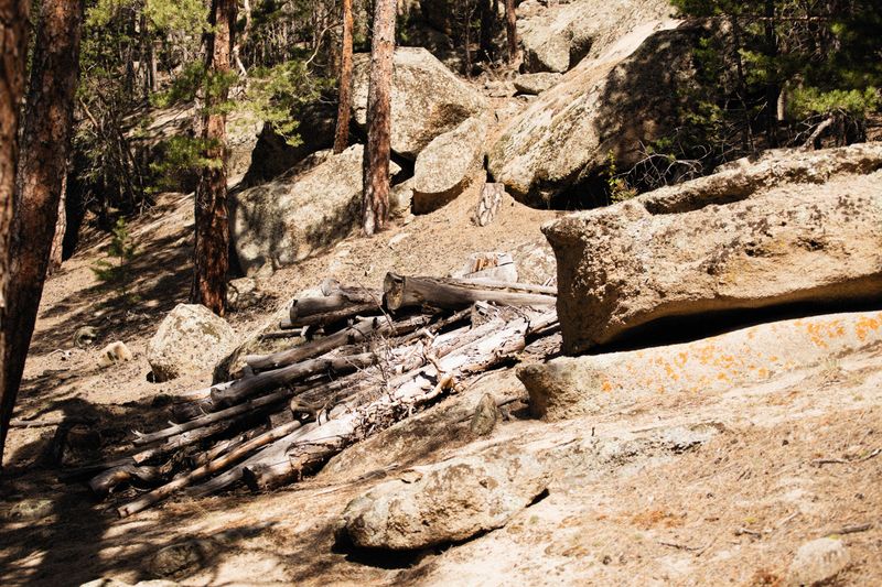Rocky Den Sites Close To Your Property Rocky Den Sites Close To Your Property