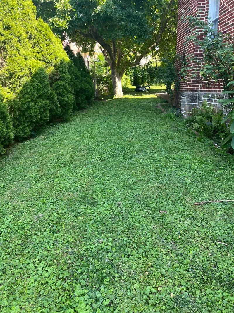 Roots Built In Fall Carry The Lawn Through Summer