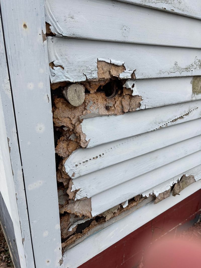 Rot Risks Rise Near Wood And Siding Rot Risks Rise Near Wood And Siding