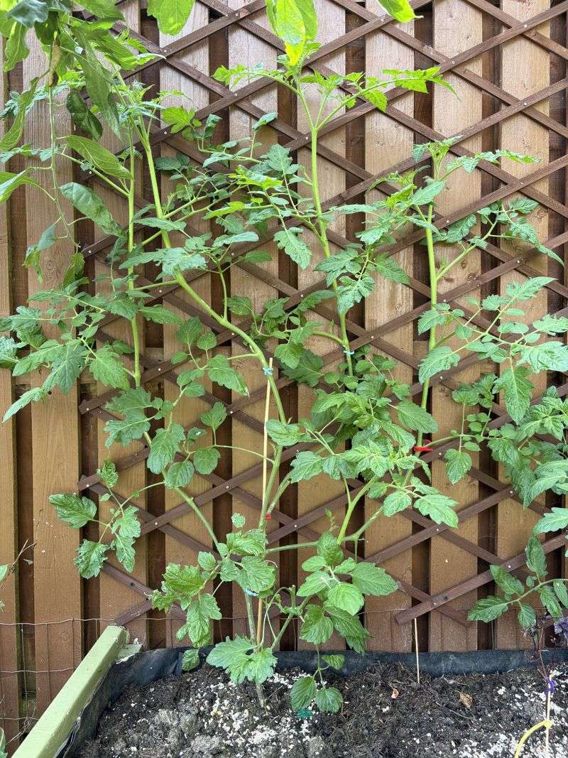Rotate Planting Spots Each Season Rotate Planting Spots Each Season