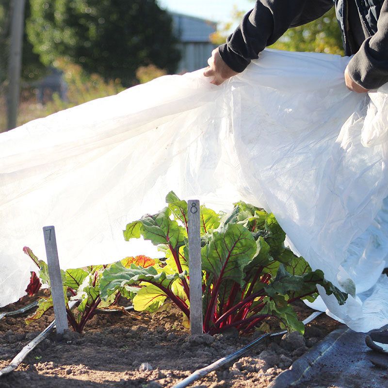 Row Covers And Cold Frames Buy Extra Weeks