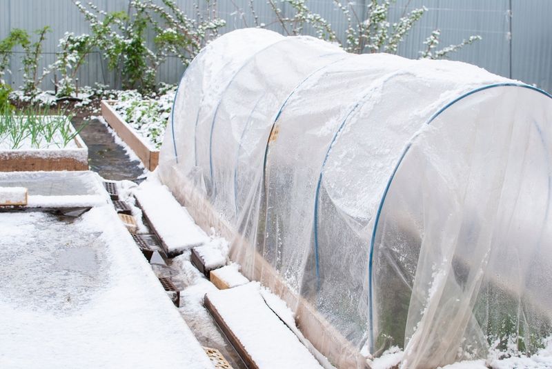Row Covers And Low Tunnels Add Extra Weeks Row Covers And Low Tunnels Add Extra Weeks