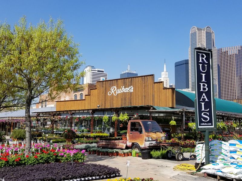Ruibal's Plants Of Texas - 601 S Pearl Expy, Dallas, TX 75201 Ruibal's Plants Of Texas - 601 S Pearl Expy, Dallas, TX 75201