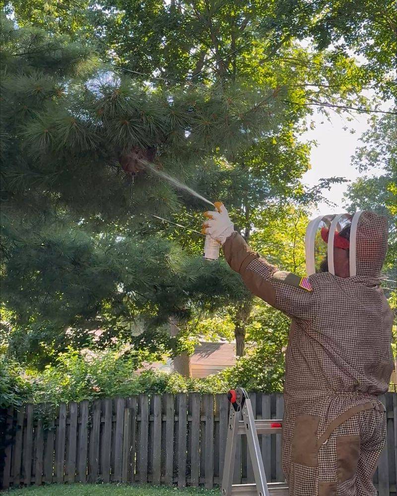 Safe Removal Choices For Indiana Homeowners