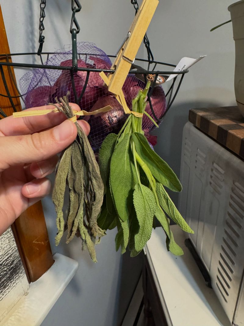 Sage Can Give You One More Fall Harvest