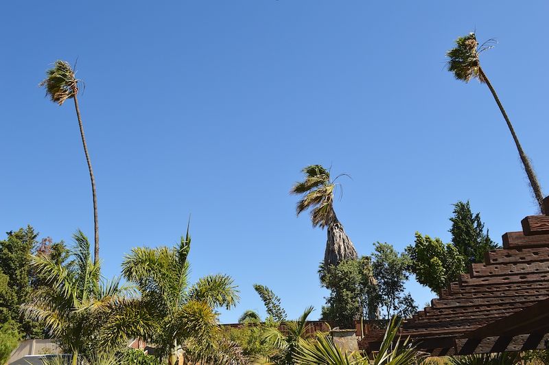Santa Ana Winds Can Arrive During Dry Conditions