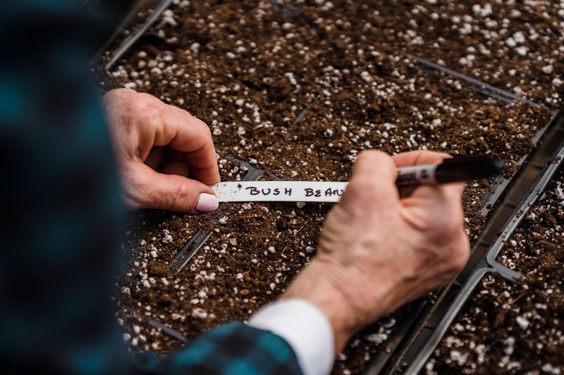 Save Seeds And Label What Earned A Return Trip