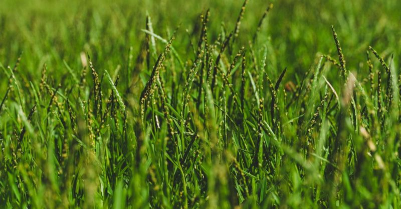 Save Your Money Once Dormancy Nears Save Your Money Once Dormancy Nears
