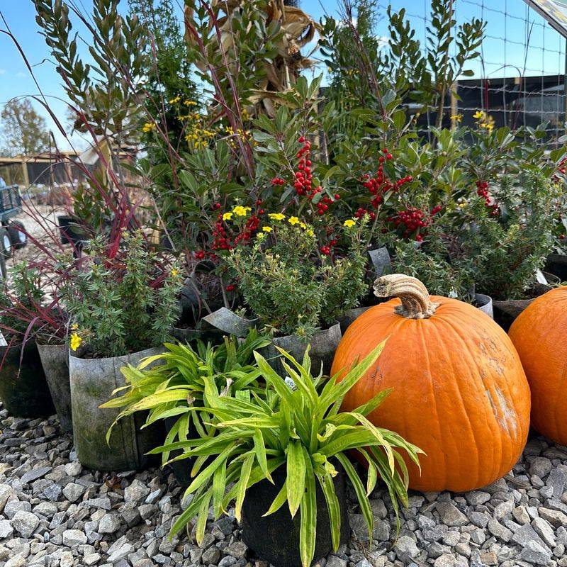 Scioto Gardens Scioto Gardens