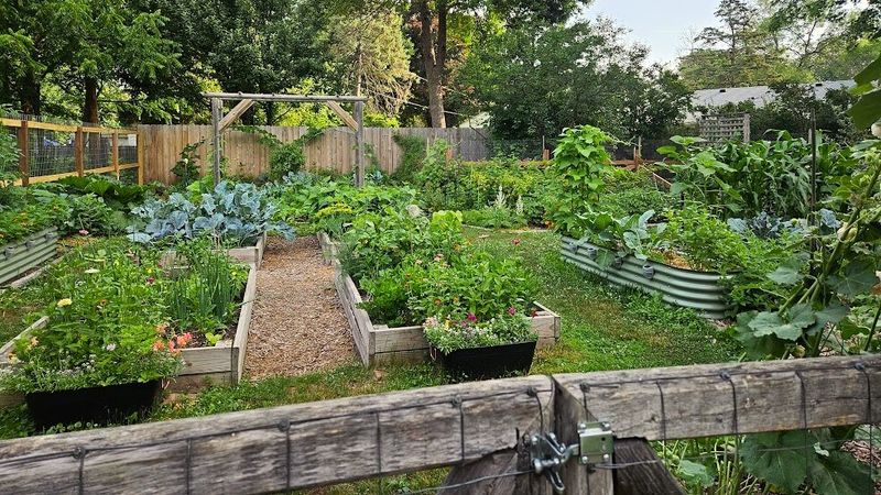 Seasonal Planting Works With Virginia Weather