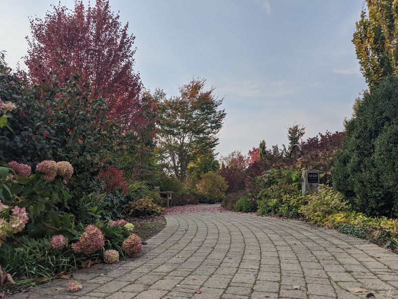 Secrest Arboretum Packs Ohio Tree Diversity Into One Visit