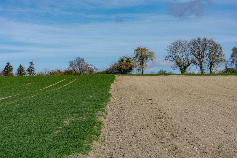 Seed And Feed Lawns On Separate Calendars Seed And Feed Lawns On Separate Calendars