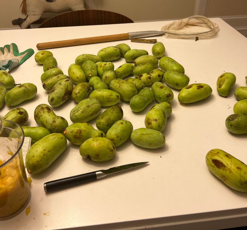 Separate Ripe Fruit From Less-Ripe Fruit
