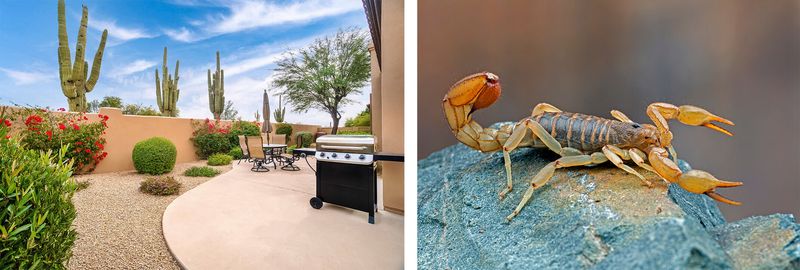 Separate wildlife habitat from the home’s safety zone