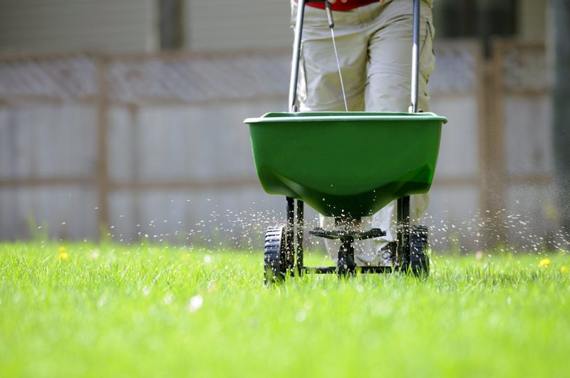 September Can Be An Important Fertilization Window For Cool-Season Lawns