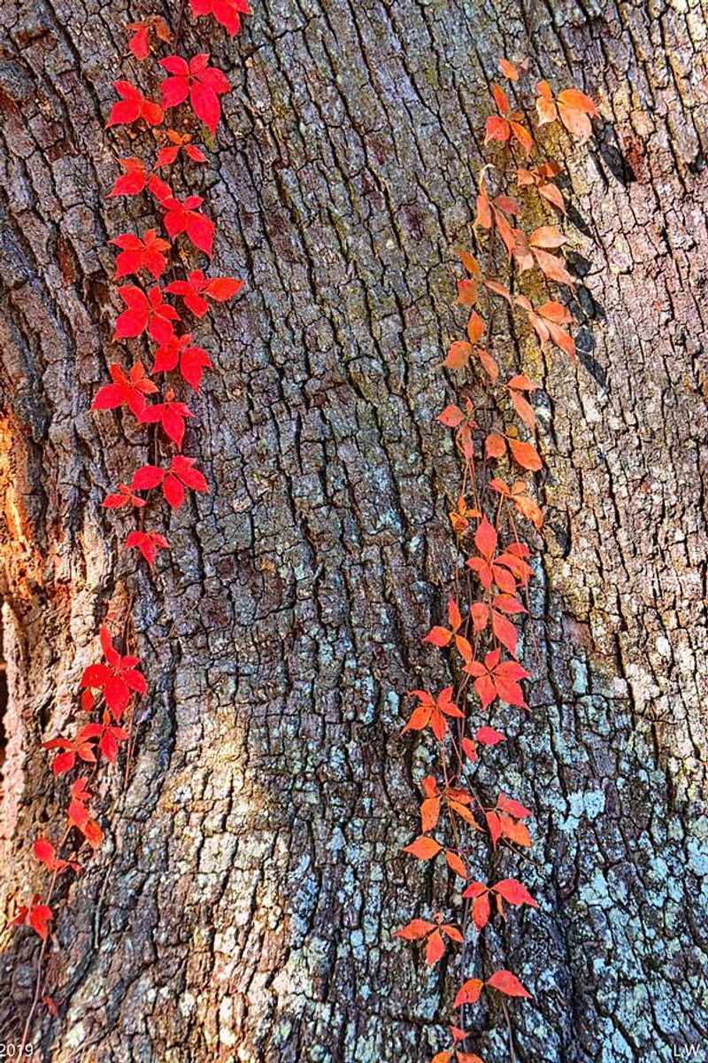 September Color And The Timing Of Trouble September Color And The Timing Of Trouble