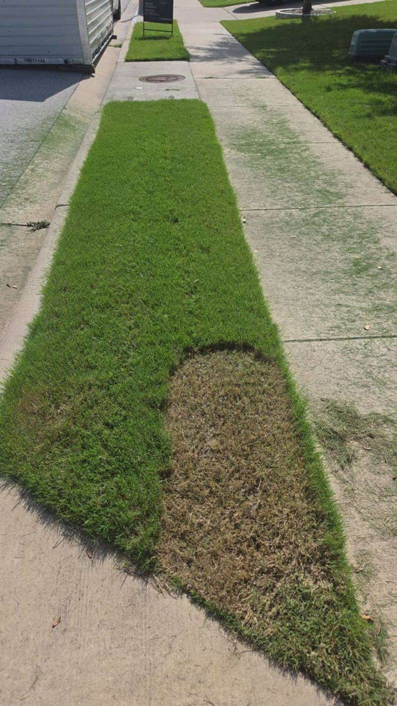 September Conditions That Make A Short Cut Worse