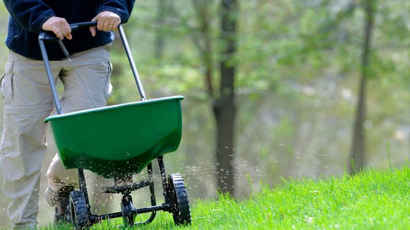 September Fertilization Should Match The Lawn's Actual Nutrient Needs