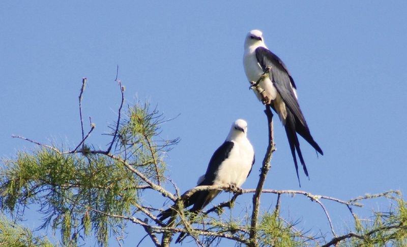 September Marks The End Of Their Florida Summer September Marks The End Of Their Florida Summer