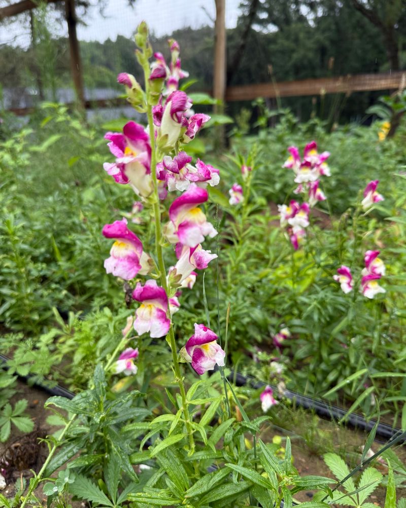 September Planting Can Work As Temperatures Start Cooling