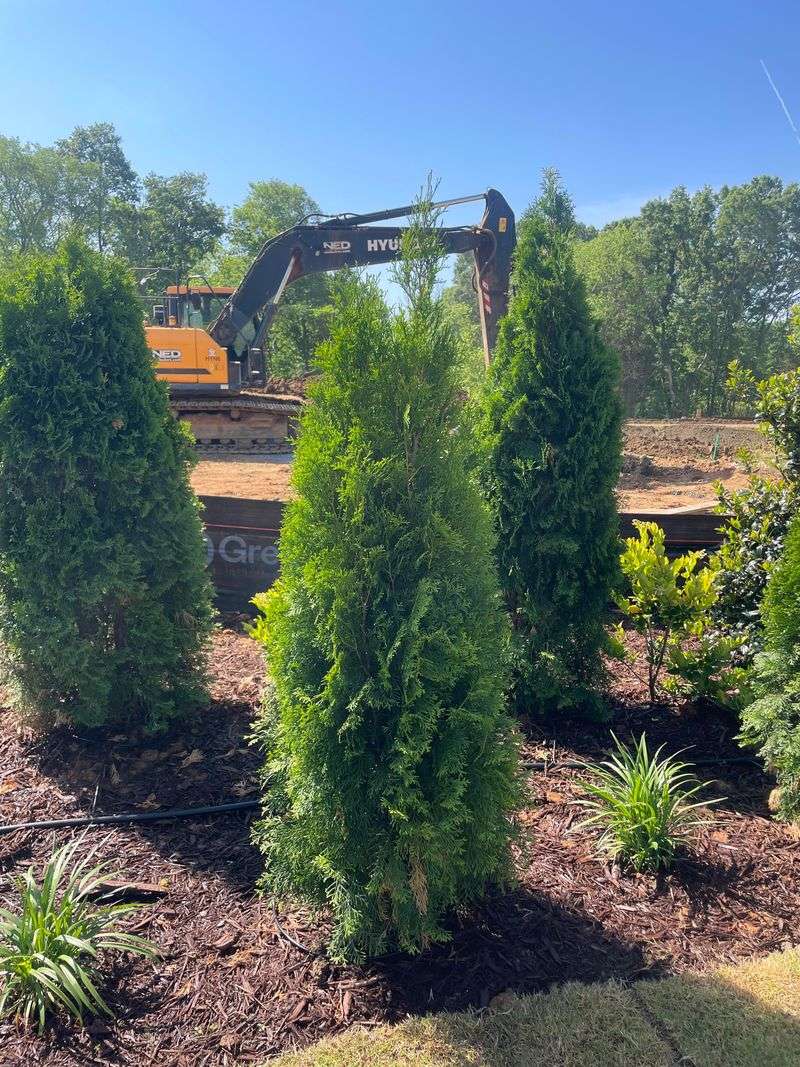 September Planting Makes Swapping Easy