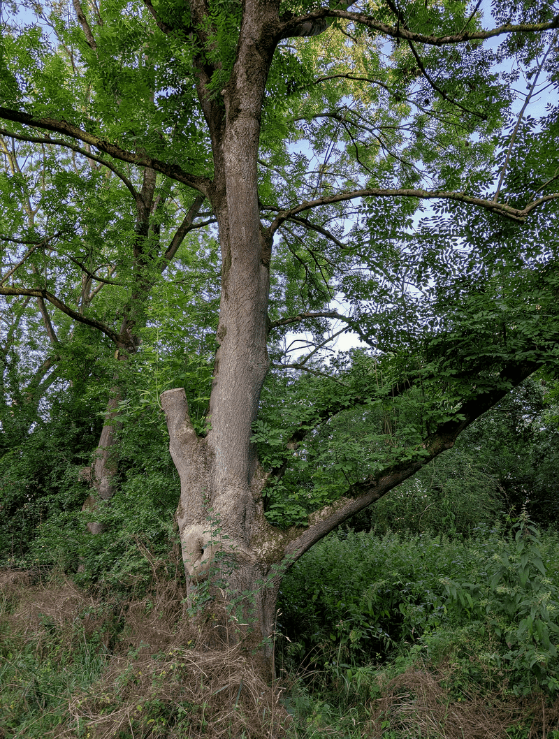 September Storms Find The Weak Spots