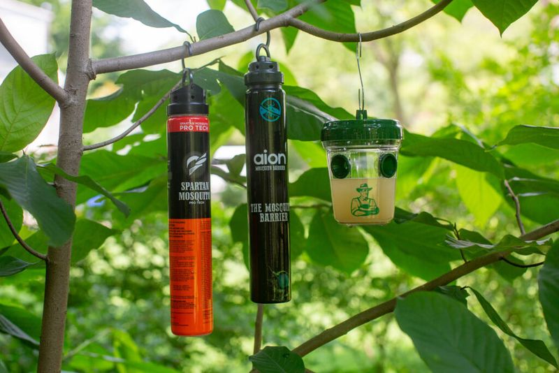 Set Up Yeast Traps Around Your Favorite Plants Set Up Yeast Traps Around Your Favorite Plants