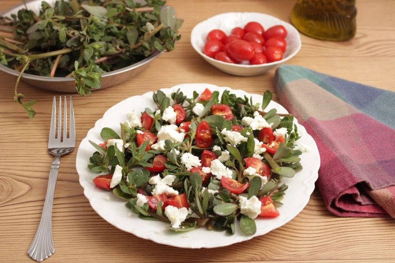 Set sensible limits for eating and growing purslane Set sensible limits for eating and growing purslane