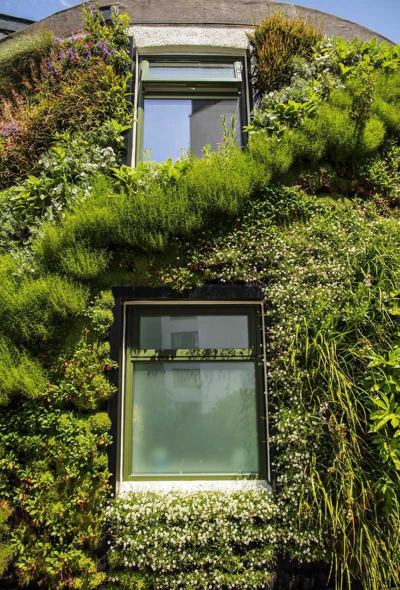 Shade And Landscaping That Cool Down A Hot Wall Shade And Landscaping That Cool Down A Hot Wall