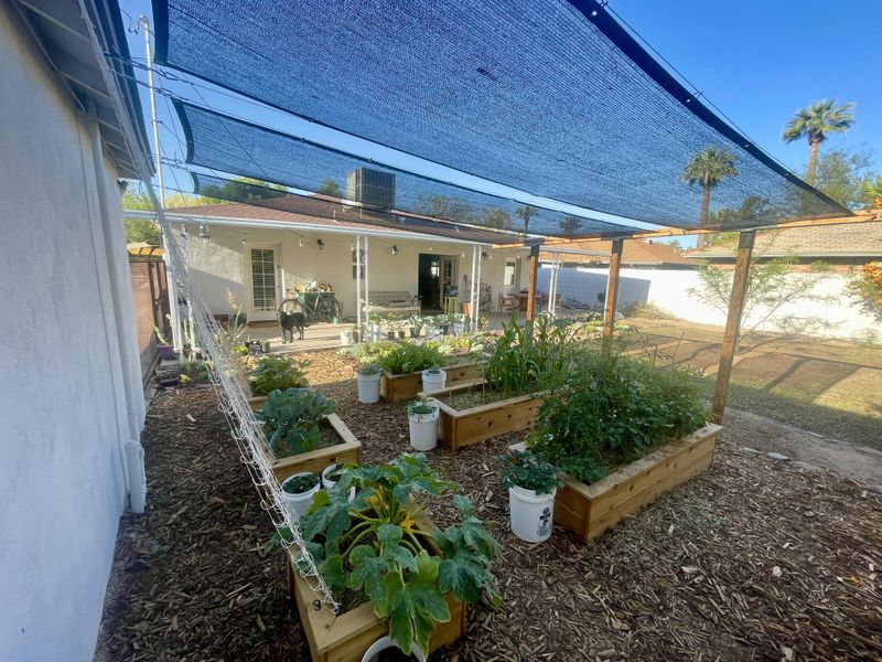 Shade Cloth Can Ease A Rough Start Shade Cloth Can Ease A Rough Start