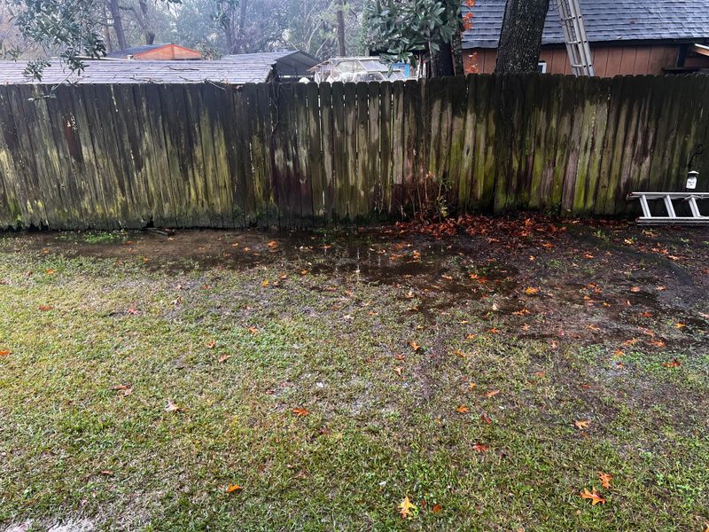 Shady, Damp Spots Keep Them Active Longer Shady, Damp Spots Keep Them Active Longer