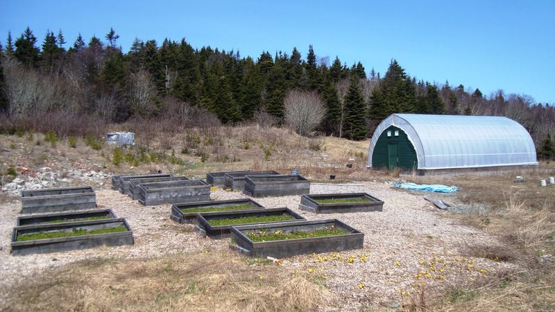 Shaping Raised Beds That Shed Water Fast