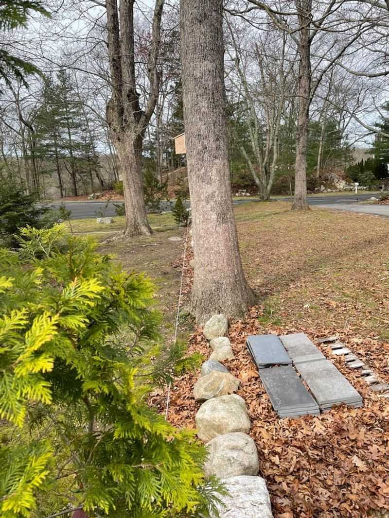 Shared Trees Can Complicate Responsibility Shared Trees Can Complicate Responsibility