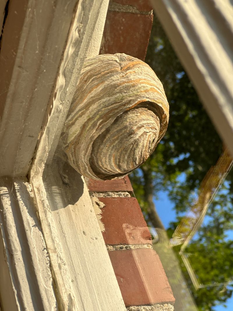 Sheltered Spots On Homes Become Prime Real Estate Sheltered Spots On Homes Become Prime Real Estate