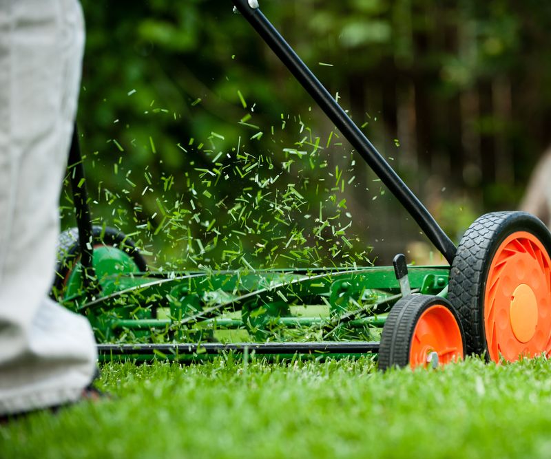 Short Clippings Break Down Faster On The Lawn