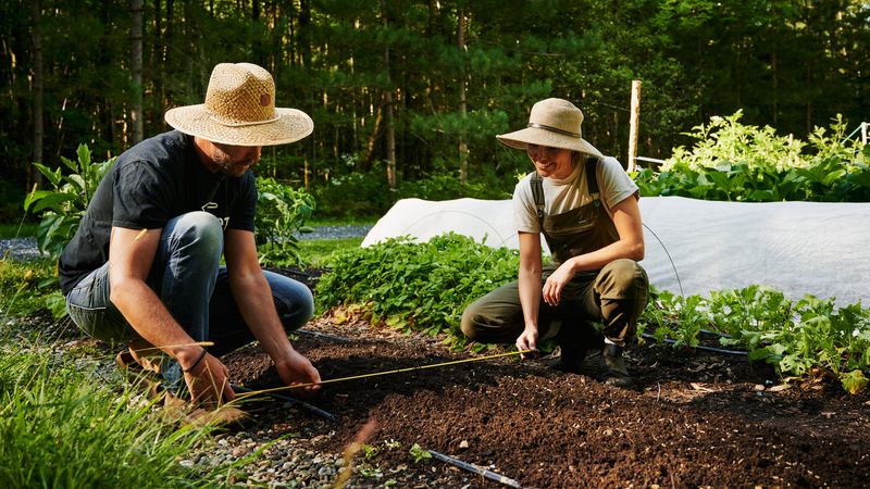 Shorter Days Crowd Your Garden To-Do List