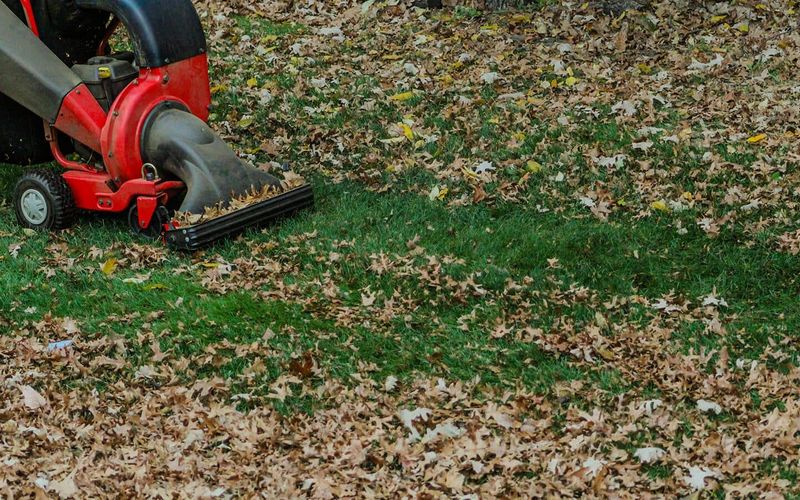 Shred Leaves Instead Of Bagging Them Shred Leaves Instead Of Bagging Them