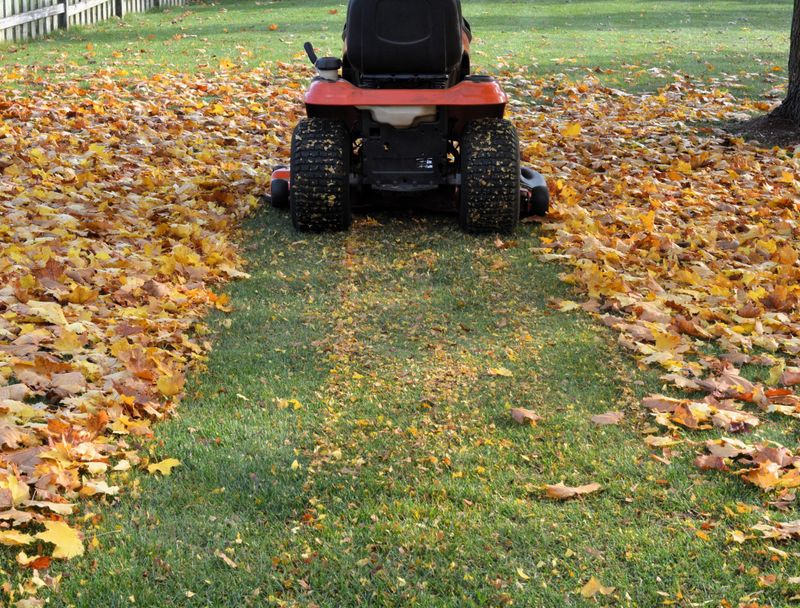 Shredding Prevents A Heavy Leaf Mat