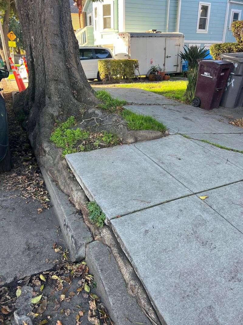 Sidewalk Damage Does Not Always Mean Removal Is Allowed