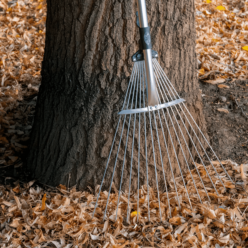 Simple Cleanup Tricks And The Bugs That Pitch In