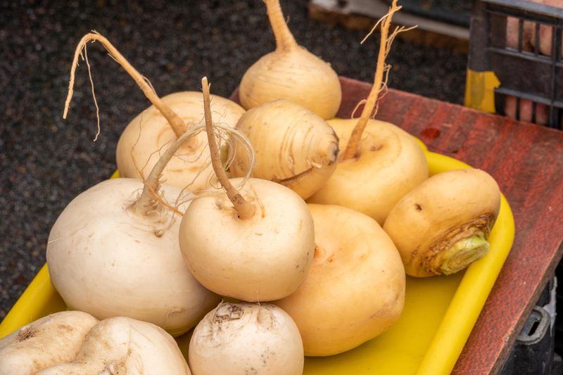 Simple Fall Plantings With Turnips That Keep The Harvest Moving