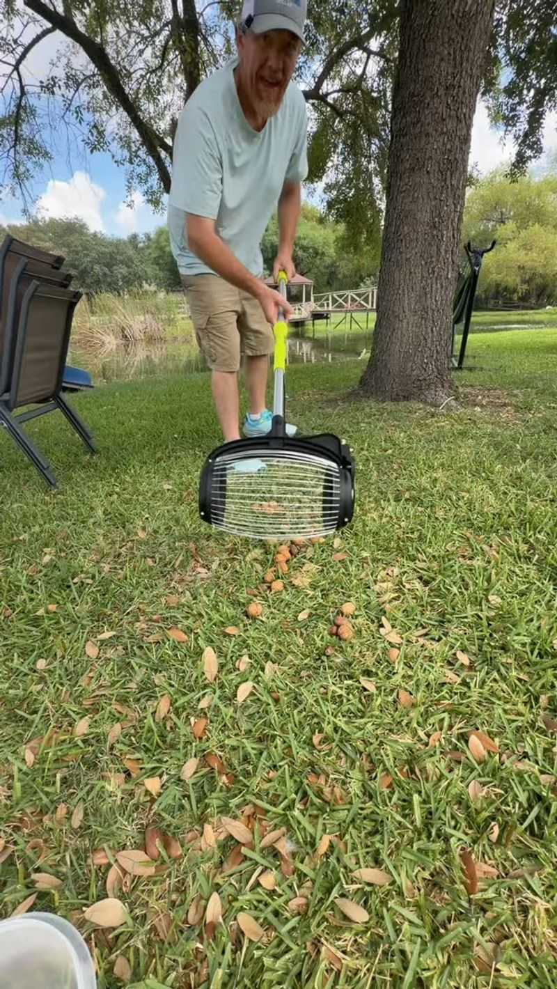 Simple Yard Cleanup Routine