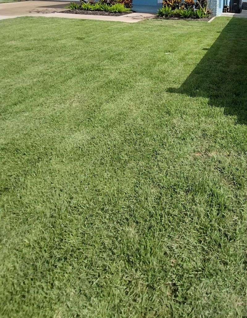 Skip Fertilizer After Late September