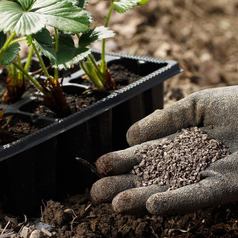 Skip Fertilizing in Wisconsin's Dormant Season