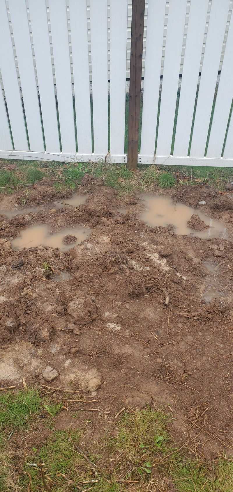 Skip Moving Plants When The Ground Stays Waterlogged Skip Moving Plants When The Ground Stays Waterlogged