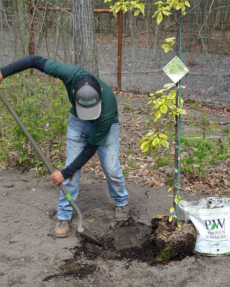 Skip The Fertilizer Until Spring