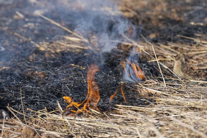 Skip The Fire If Your County Says No Skip The Fire If Your County Says No