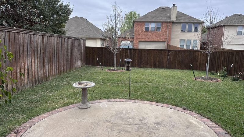 Skip The Perfect Yard That Removes Every Food Source Skip The Perfect Yard That Removes Every Food Source